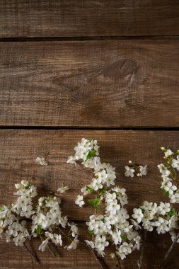 ahşap yüzey üzerinde güzel bahar çiçekleri