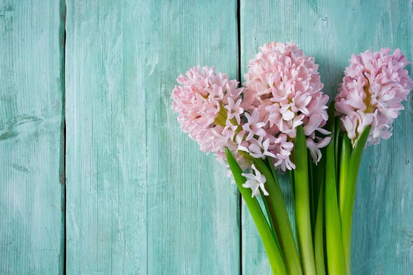 Fräsch Rosa Blommor Hyacinter Woden Yta — Stockfoto