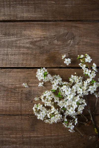 Hermosas Flores Primavera Superficie Madera —  Fotos de Stock