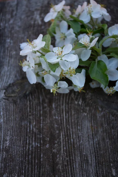 Красивые Цветы Яблони Старой Деревянной Поверхности — стоковое фото
