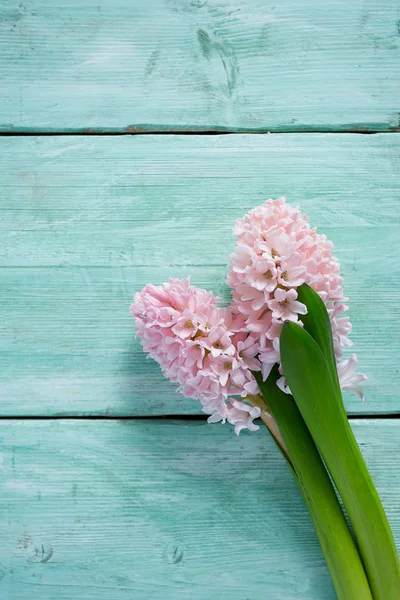 Woden Felületén Friss Rózsaszín Virágok Jácint — Stock Fotó
