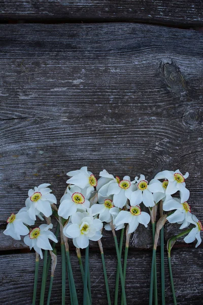 White Daffodil Flowers Old Wood Table Background — Stock Photo, Image