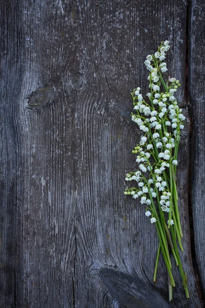 Mooie Lelietje Van Dalen Bloemen Houten Oppervlak — Stockfoto