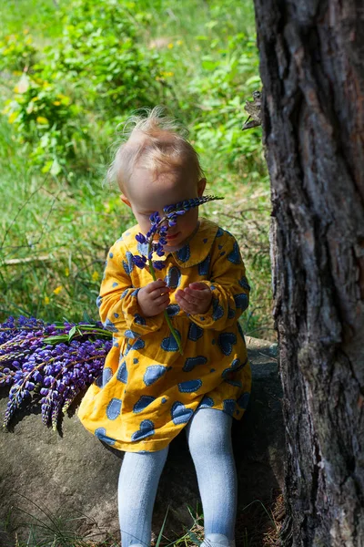 Bonito Menina Criança Com Buquê Lupins — Fotografia de Stock