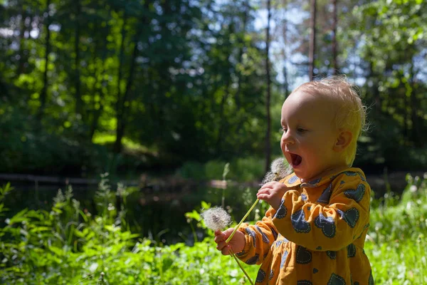 Hezká Malá Batole Dívka Foukání Pampeliška — Stock fotografie