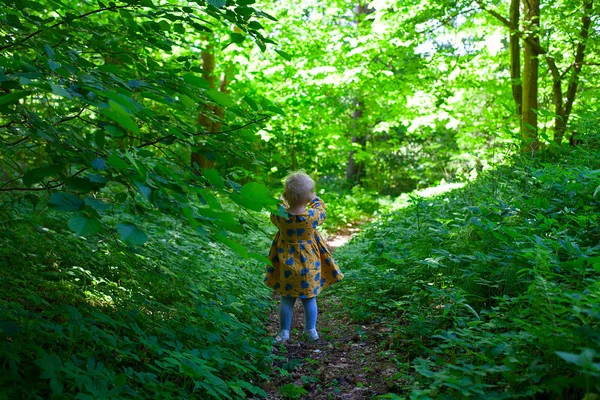 Bonito Criança Menina Madeiras — Fotografia de Stock