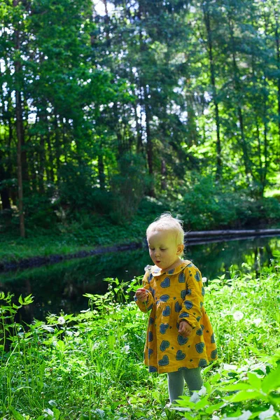 Hezká Malá Batole Dívka Foukání Pampeliška — Stock fotografie