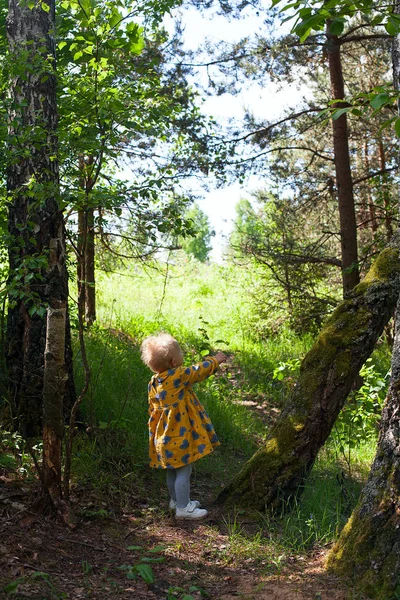 Bonito Criança Menina Madeiras — Fotografia de Stock