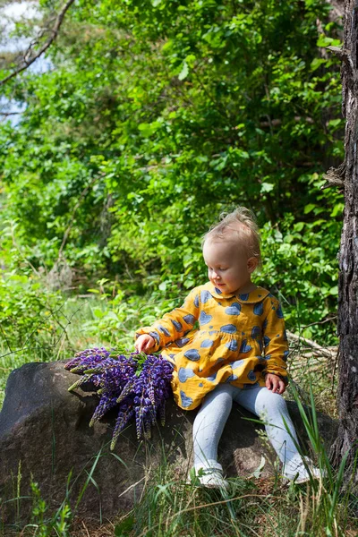 Bonito Menina Criança Com Buquê Lupins — Fotografia de Stock