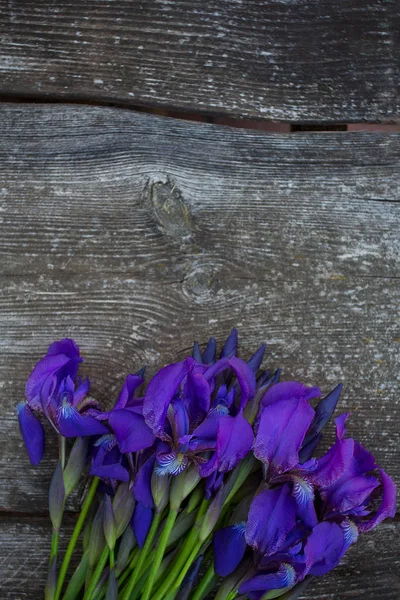 Mooie Iris Bloemen Houten Oppervlak — Stockfoto