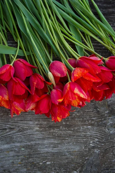 Piękne Tulipany Świeże Rustykalne Drewniane Powierzchni — Zdjęcie stockowe