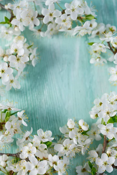 Schöne Frühlingsblüten Auf Hölzerner Oberfläche — Stockfoto