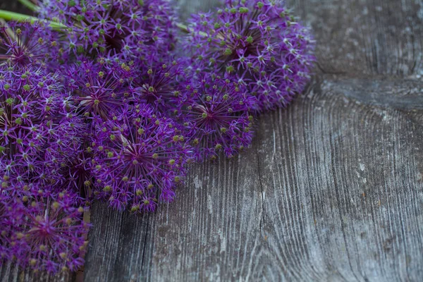 Belas Flores Allium Superfície Madeira — Fotografia de Stock