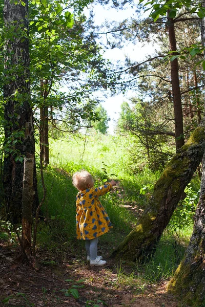 Sød Lille Pige Skoven - Stock-foto