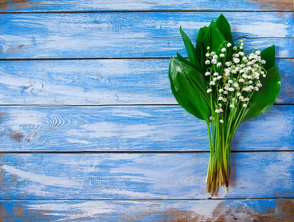 ahşap yüzey üzerinde güzel lily vadi çiçekler