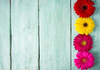 Ahşap yüzeyde gerbera çiçeği