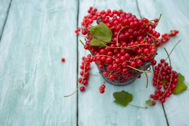 ahşap yüzey üzerinde taze Olgun kırmızı kuş üzümü