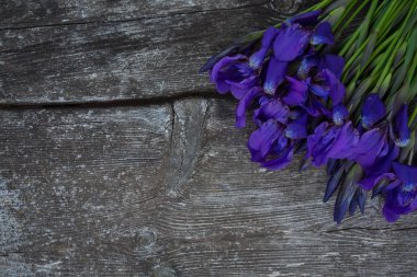 ahşap yüzey üzerinde güzel Iris çiçekler