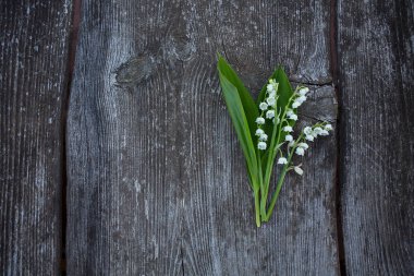 ahşap yüzey üzerinde güzel lily vadi çiçekler