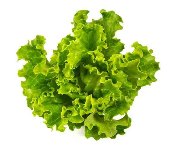 Friss Egészséges Saláta Levelek Elszigetelt Fehér — Stock Fotó