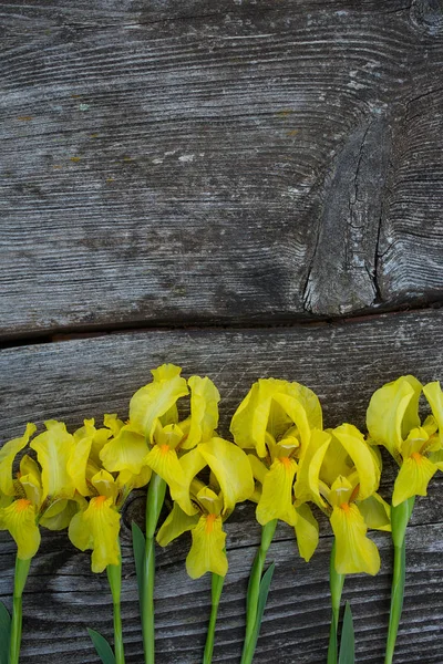 Schöne Gelbe Schwertlilien Auf Hölzerner Oberfläche — Stockfoto