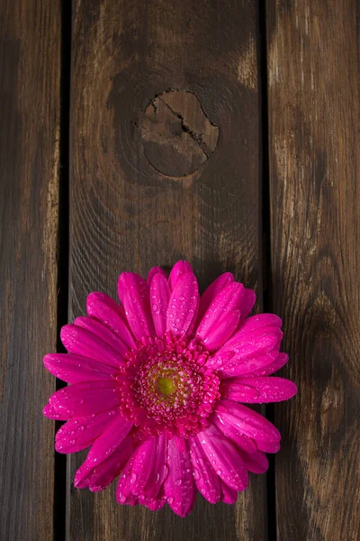 Roze Gerbera Houten Tafel — Stockfoto