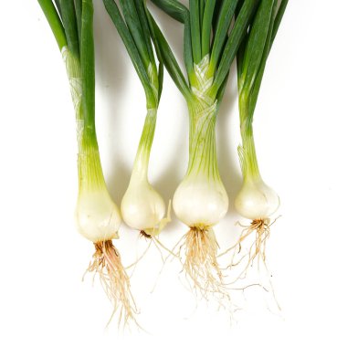 soğan üzerinde beyaz izole