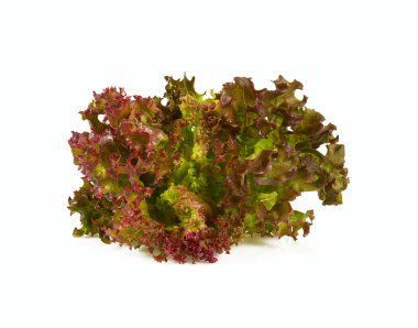 beyaz izole taze sağlıklı marul yaprakları