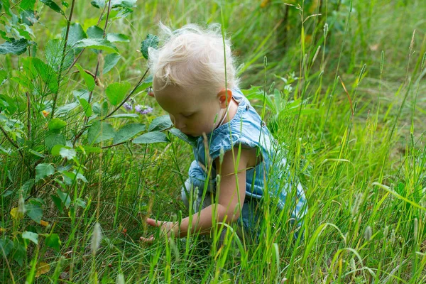 Cute Little Girl Green Meadow — Stock Photo, Image