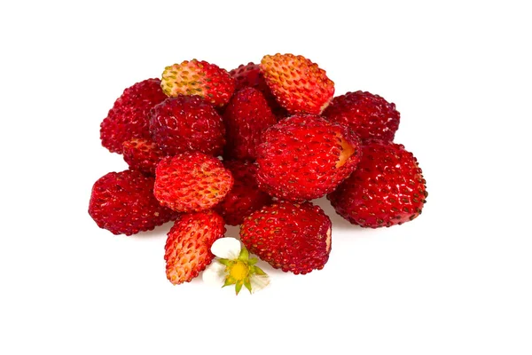 Fraises Sauvages Isolées Sur Blanc — Photo