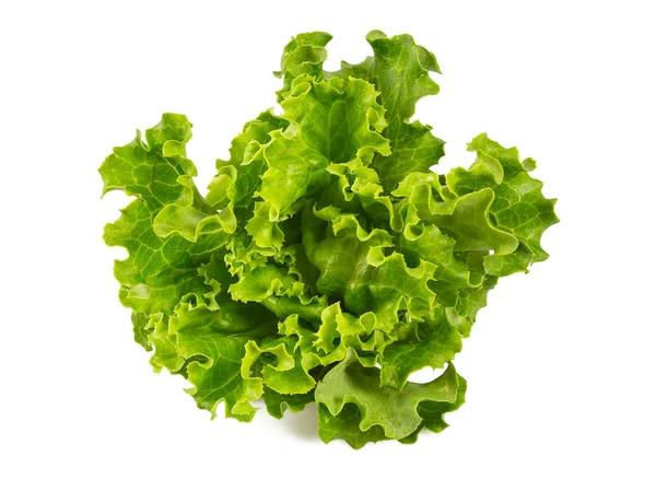 Frische Gesunde Salatblätter Isoliert Auf Weiß — Stockfoto