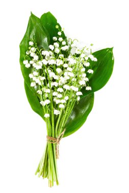 Vadideki zambaklar beyazlar üzerinde izole.