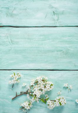 ahşap yüzeyde bahar çiçekleri