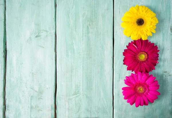 Ahşap yüzeyde gerbera çiçeği