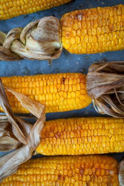 Kavrulmuş mısır koçanı üstten görünüm