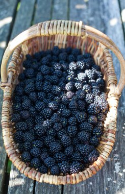 böğürtlen sepeti ahşap yüzey üzerinde