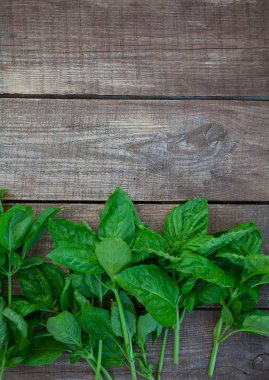 Tahta yüzeyde bir demet fesleğen