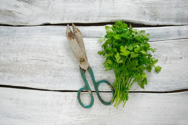 demet maydanoz ahşap yüzey üzerinde