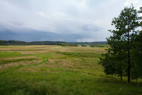 Vackra Ängar Sommaren — Stockfoto