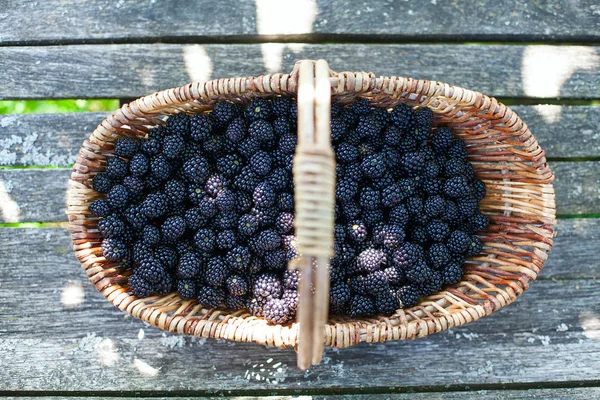 Moras Cesta Sobre Superficie Madera — Foto de Stock