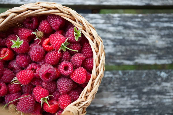 Frische Himbeeren Korb — Stockfoto