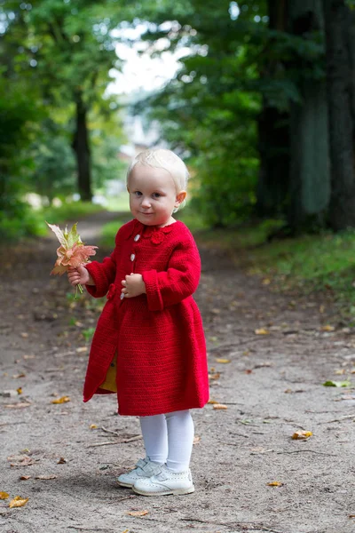 Милая Маленькая Девочка Красном Трикотажном Пальто Парке — стоковое фото