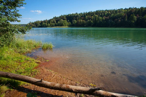 Hermoso Lago Salvaje Fondo Cerca —  Fotos de Stock