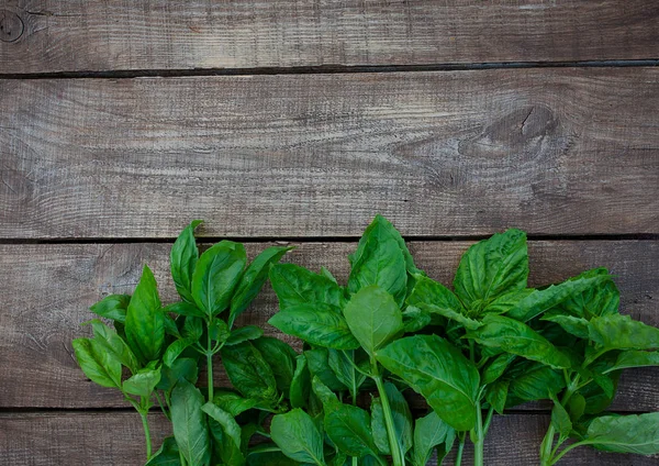 Bunch Basil Wooden Surface — Stock Photo, Image