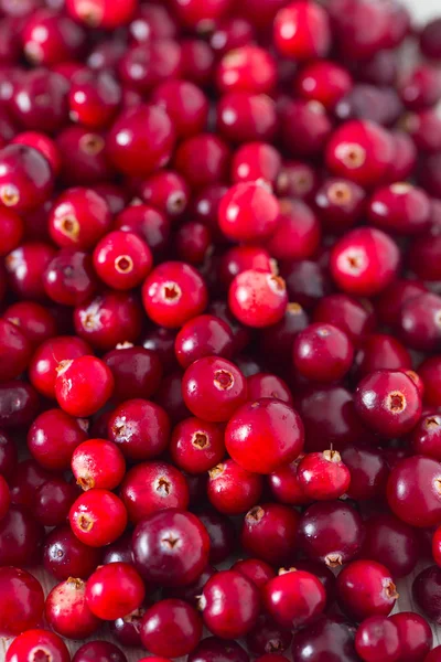 Fresh Cranberries White Wooden Surface — Stock Photo, Image