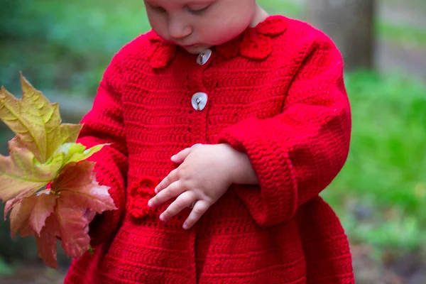 Menina Bonito Casaco Malha Vermelho Parque — Fotografia de Stock