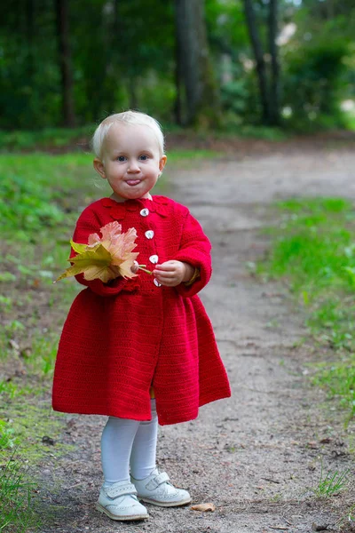 Милая Маленькая Девочка Красном Трикотажном Пальто Парке — стоковое фото