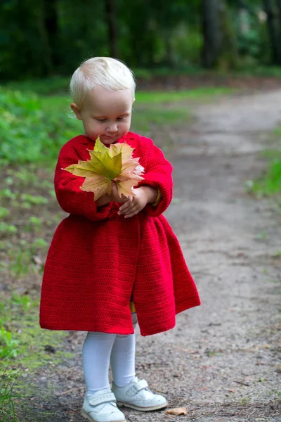 Menina Bonito Casaco Malha Vermelho Parque — Fotografia de Stock