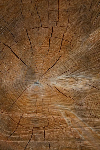 Ahşap Günlük Yakın Çekim — Stok fotoğraf