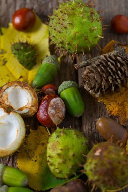 Ahşap kırsal masada meşe palamudu ve kestane